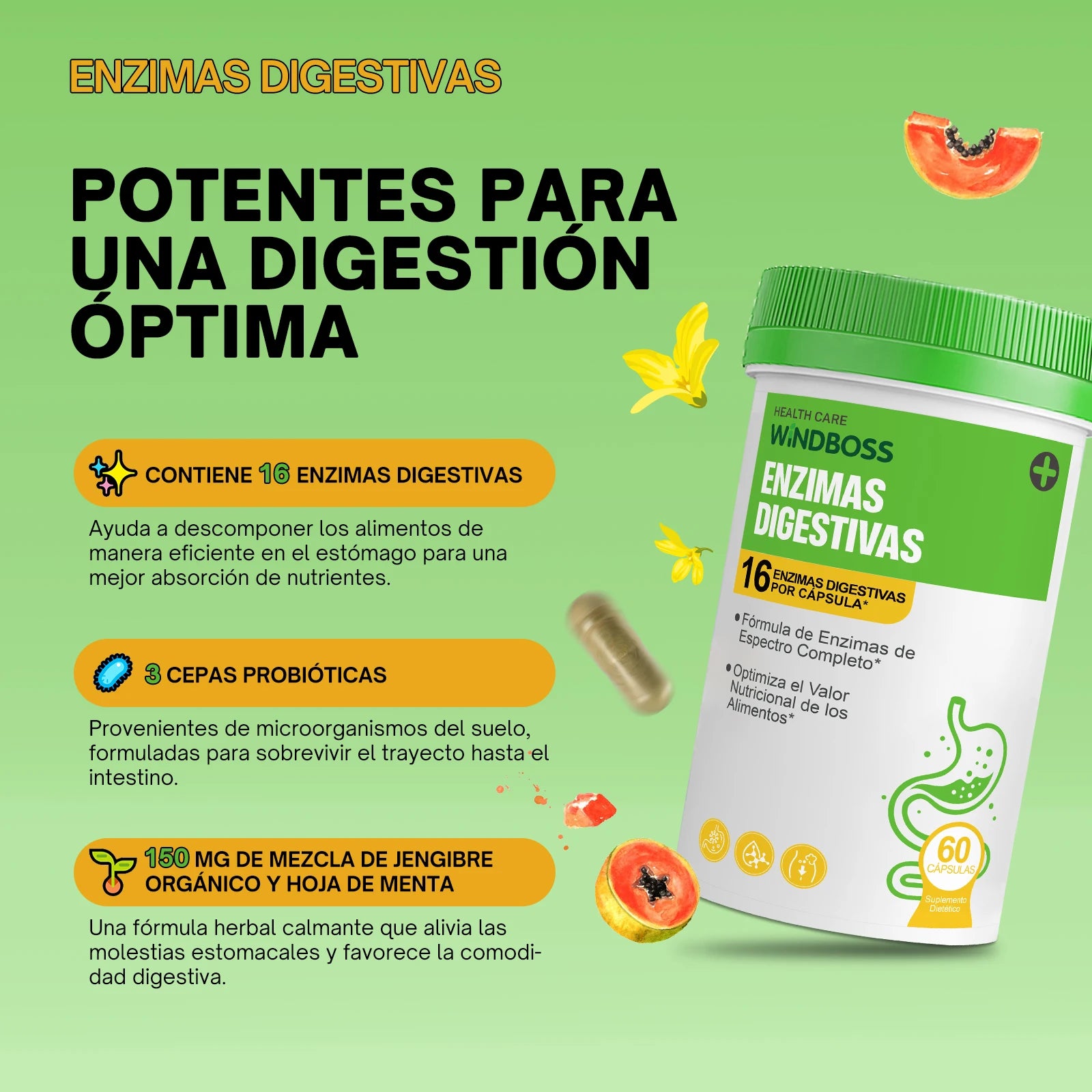 Windboss Fórmula Digestiva con Probióticos y Enzimas Naturales | Soporte Diario para el Bienestar Intestinal | Pack de 2 Frascos de 60 Cápsulas | Mezcla Prebiótica y Enzimas de Amplio Espectro