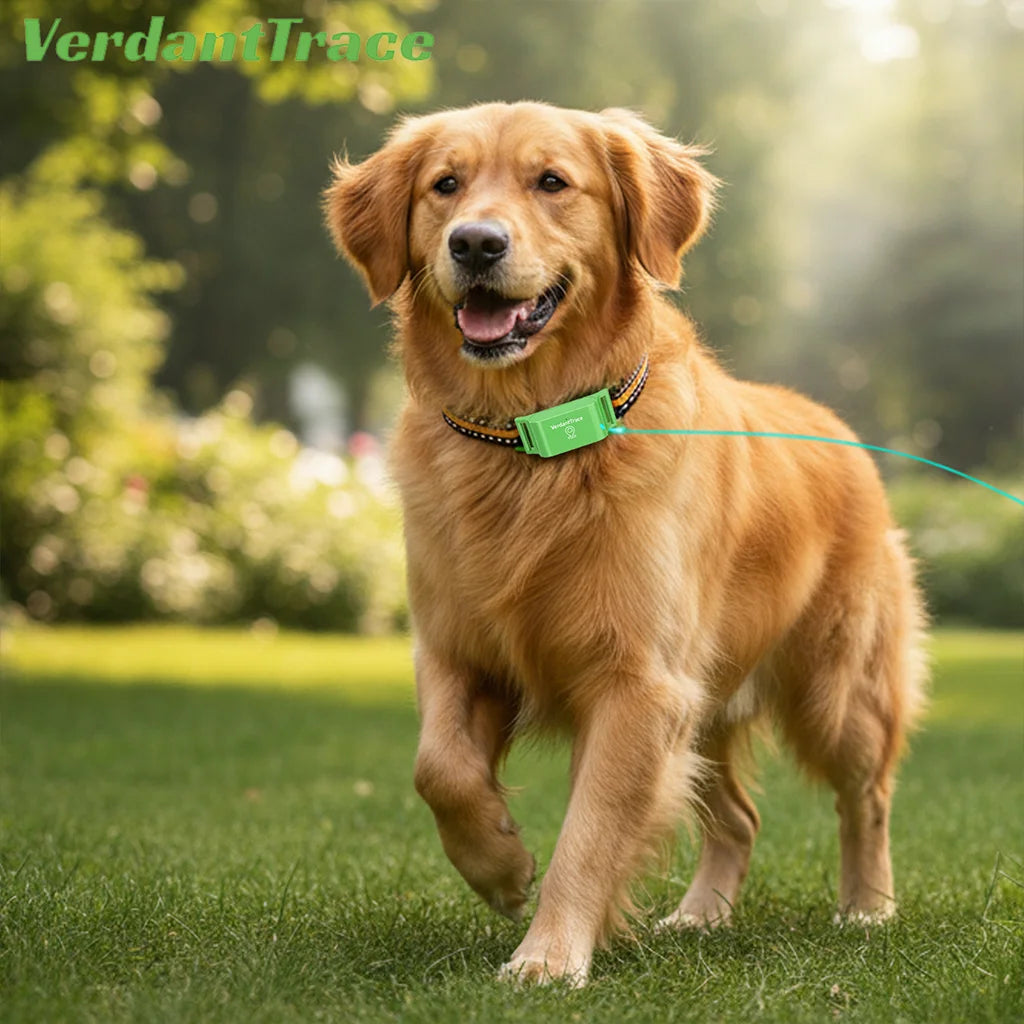 Rastreador de Mascotas VerdantTrace para Teléfonos Android e iOS, GPS 4G, Collar con Rastreador para Gatos y Perros, Rastreo en Tiempo Real, Localizador Antipérdida, Sin Suscripción