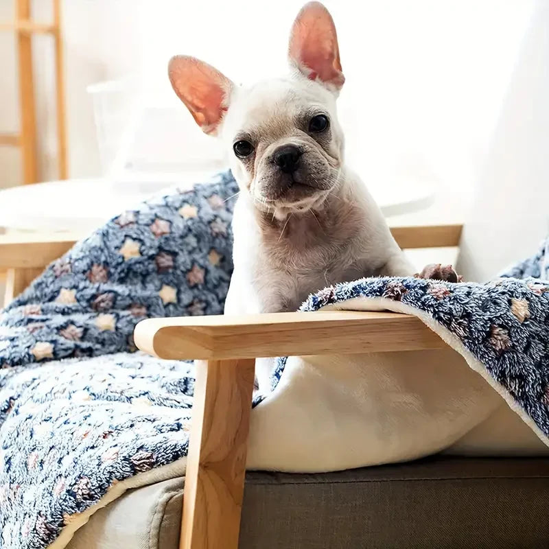 Estera para mascotas, cama para perros y gatos, estera gruesa para dormir, manta para perros, estera para cachorros, gatitos, cama para perros pequeños y grandes, alfombra para mascotas