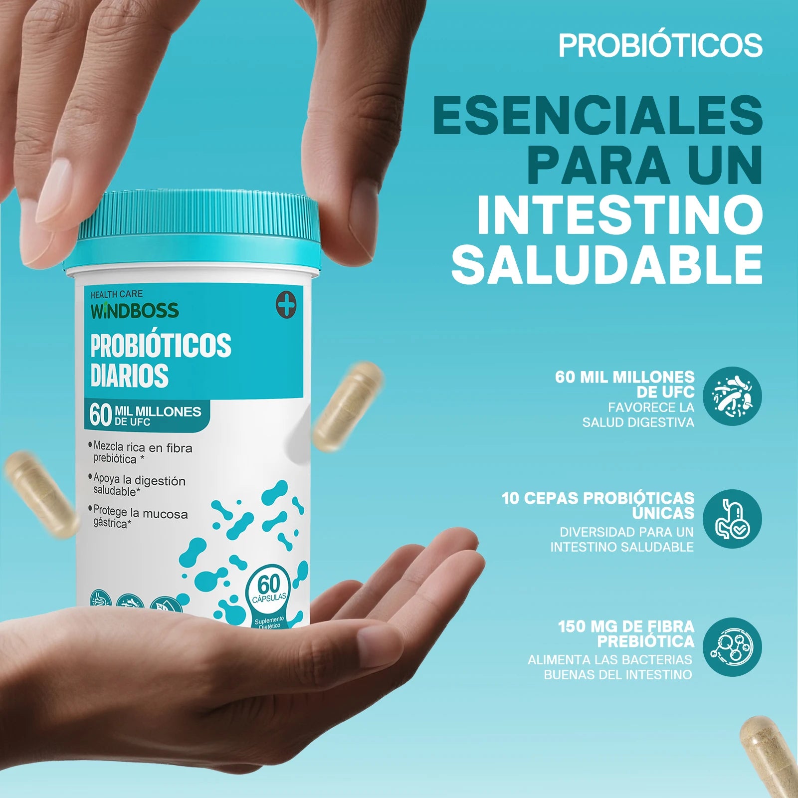Windboss Fórmula Digestiva con Probióticos y Enzimas Naturales | Soporte Diario para el Bienestar Intestinal | Pack de 2 Frascos de 60 Cápsulas | Mezcla Prebiótica y Enzimas de Amplio Espectro