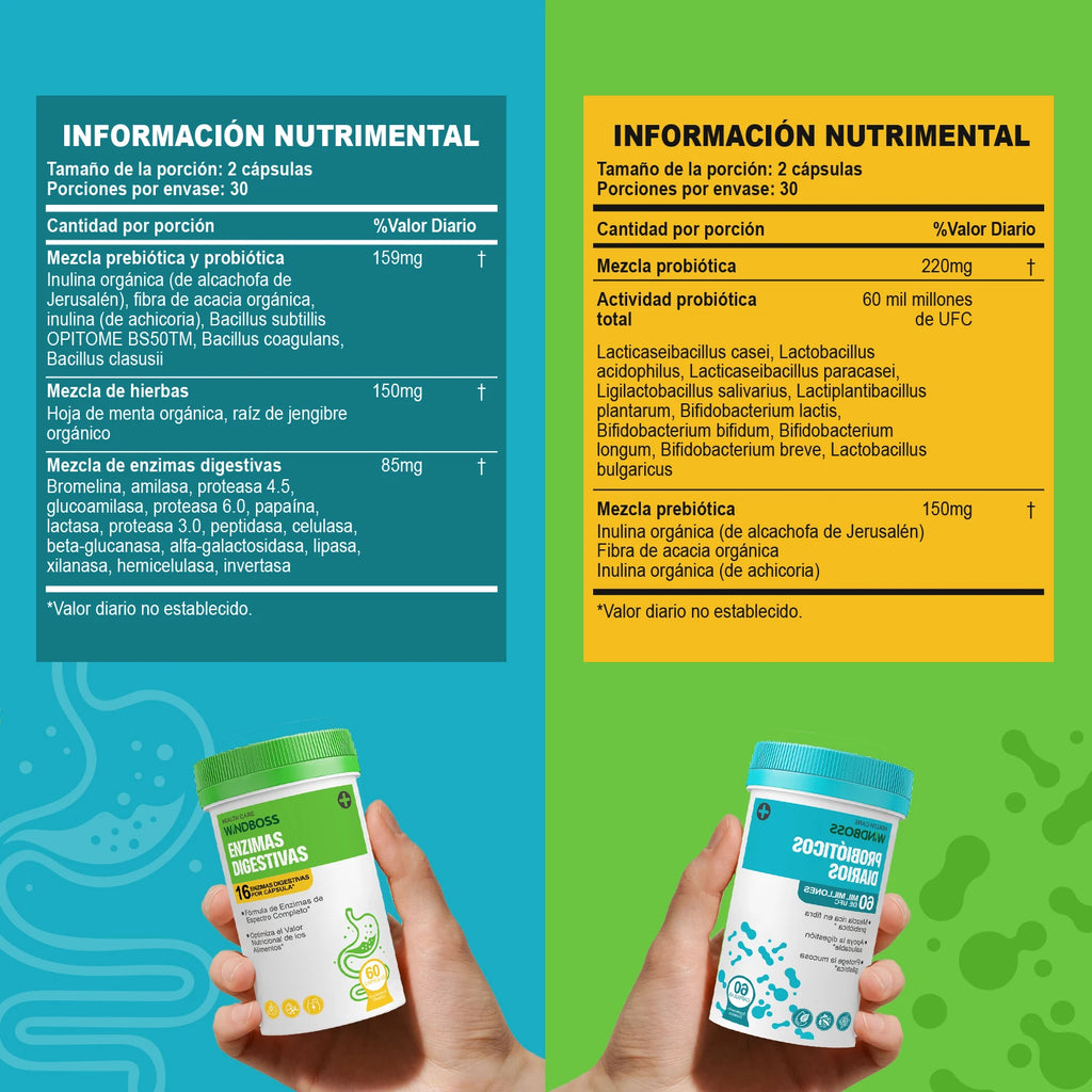 Windboss Fórmula Digestiva con Probióticos y Enzimas Naturales | Soporte Diario para el Bienestar Intestinal | Pack de 2 Frascos de 60 Cápsulas | Mezcla Prebiótica y Enzimas de Amplio Espectro