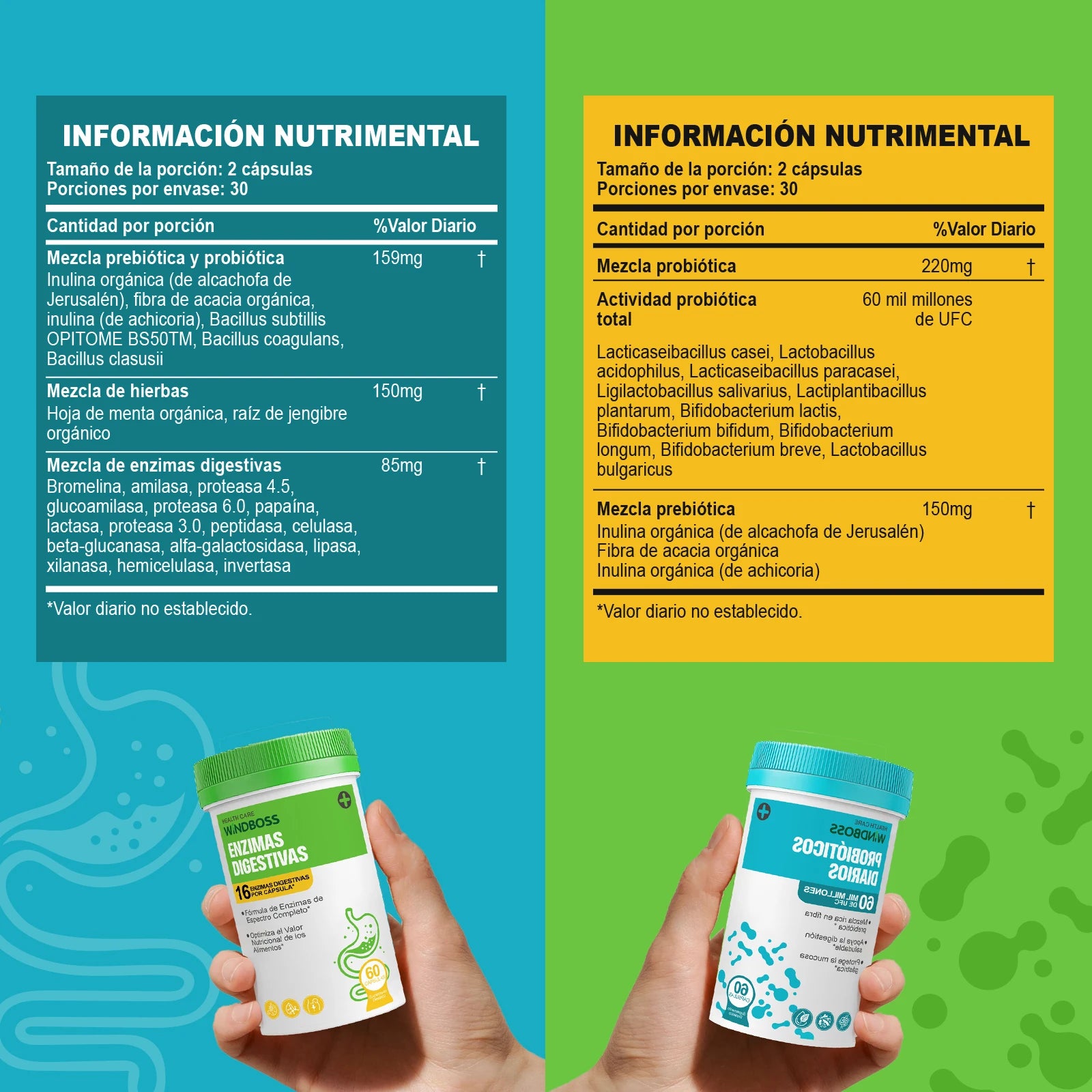 Windboss Fórmula Digestiva con Probióticos y Enzimas Naturales | Soporte Diario para el Bienestar Intestinal | Pack de 2 Frascos de 60 Cápsulas | Mezcla Prebiótica y Enzimas de Amplio Espectro