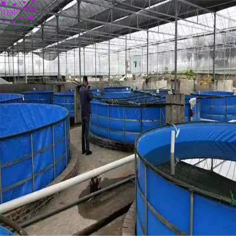 Tanque de lona de 3m de diámetro, estanque de cultivo de peces de Pvc grueso, depósito Circular, piscina puede personalizar el tamaño