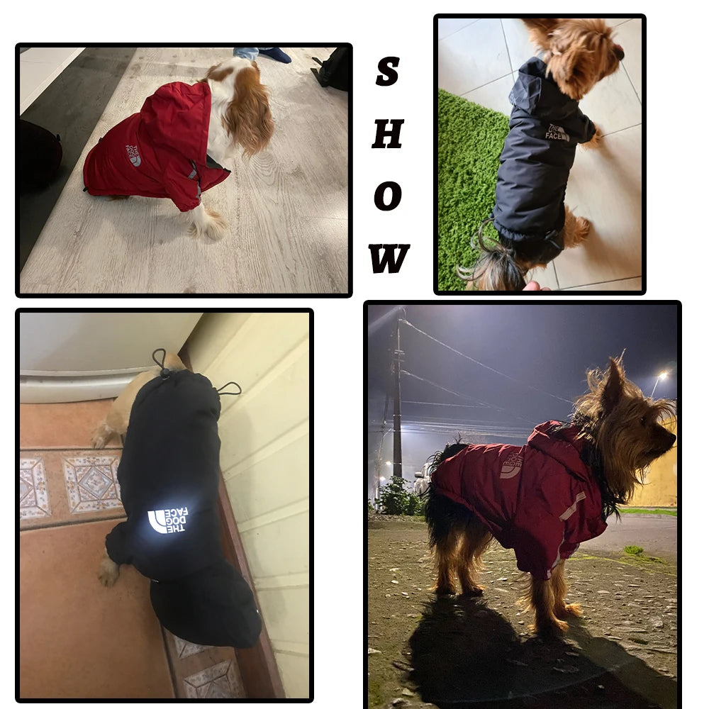 Ropa reflectante para mascotas, abrigo cálido impermeable para perros, chaqueta con capucha de algodón, cara de perro, ropa para perros pequeños, otoño e invierno