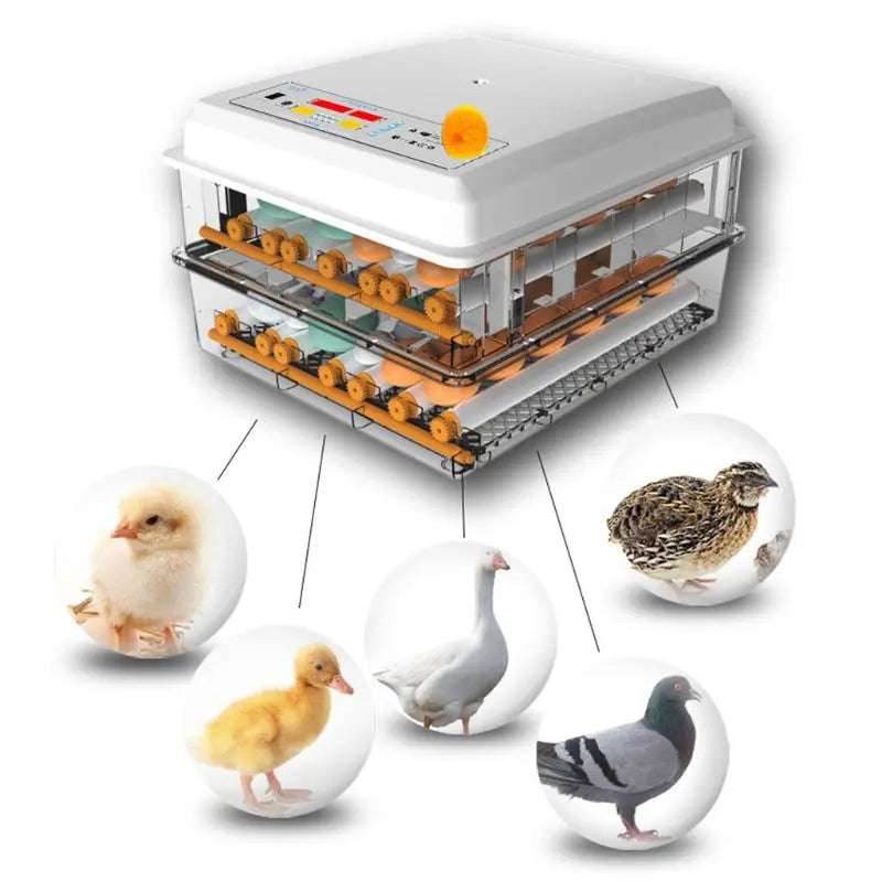 Incubadora de huevos de 220V, para aves, codorniz, pollito, aves de corral, volteador 964E