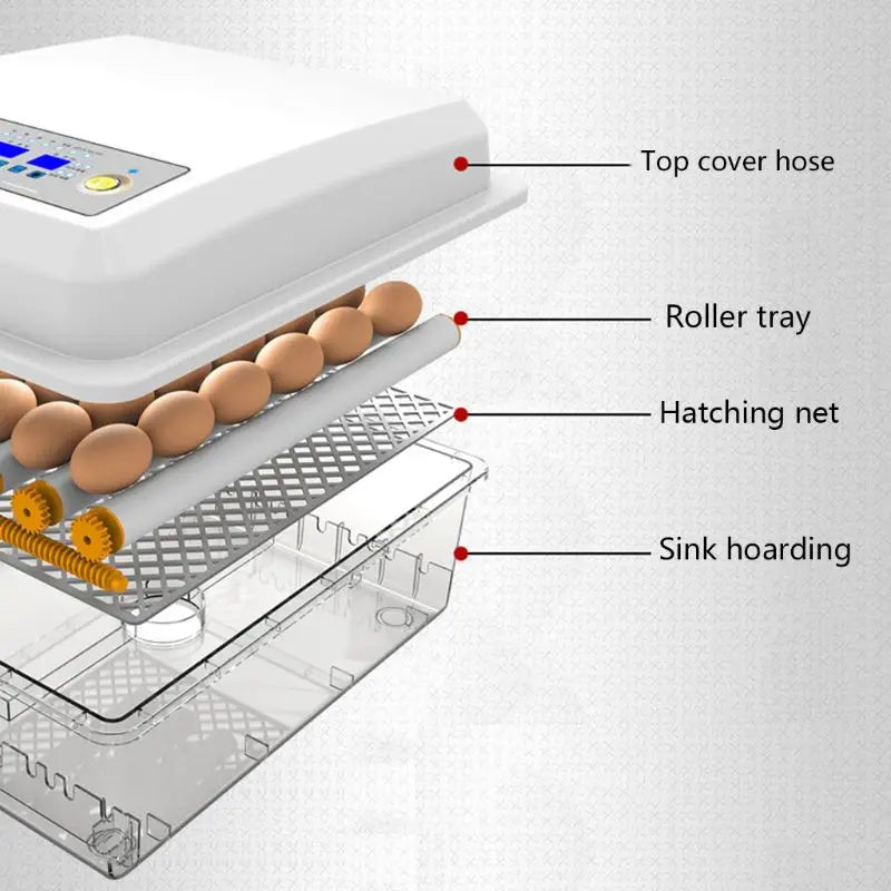 Incubadora de huevos de 220V, para aves, codorniz, pollito, aves de corral, volteador 964E