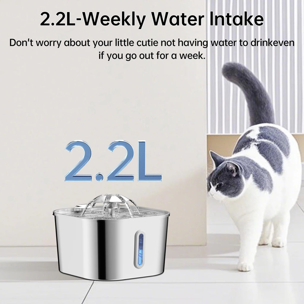 Fuente automática para gatos de 2,2l/74OZ, dispensador de agua para mascotas de acero inoxidable, bomba de agua silenciosa, filtrado de circulación, ventana Visual
