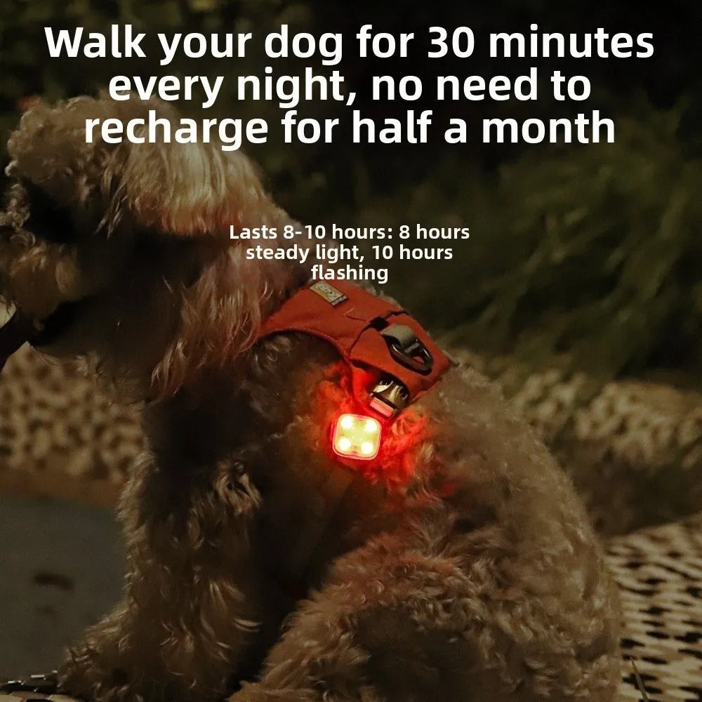 Colgante Luminoso Recargable USB para Mascotas, Linterna LED de 3 Modos, Collar para Mascotas, Luz LED de Seguridad para Perros, Colgante Luminoso para Actividades al Aire Libre