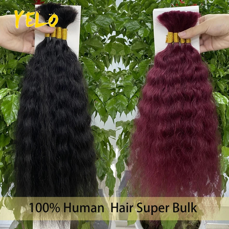 Yelo cabello trenzado humano húmedo y ondulado, cabello trenzado humano ondulado francés súper a granel para trenzas bohemias para suministro de salón 50G 100G