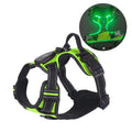Arnés para perro con luz LED duradera, correa para el pecho luminosa recargable ajustable para mascotas, chaleco brillante suave intermitente para perros, gatos y mascotas