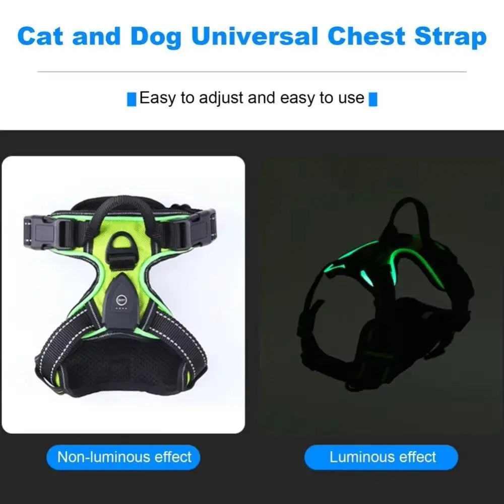 Arnés para perro con luz LED duradera, correa para el pecho luminosa recargable ajustable para mascotas, chaleco brillante suave intermitente para perros, gatos y mascotas