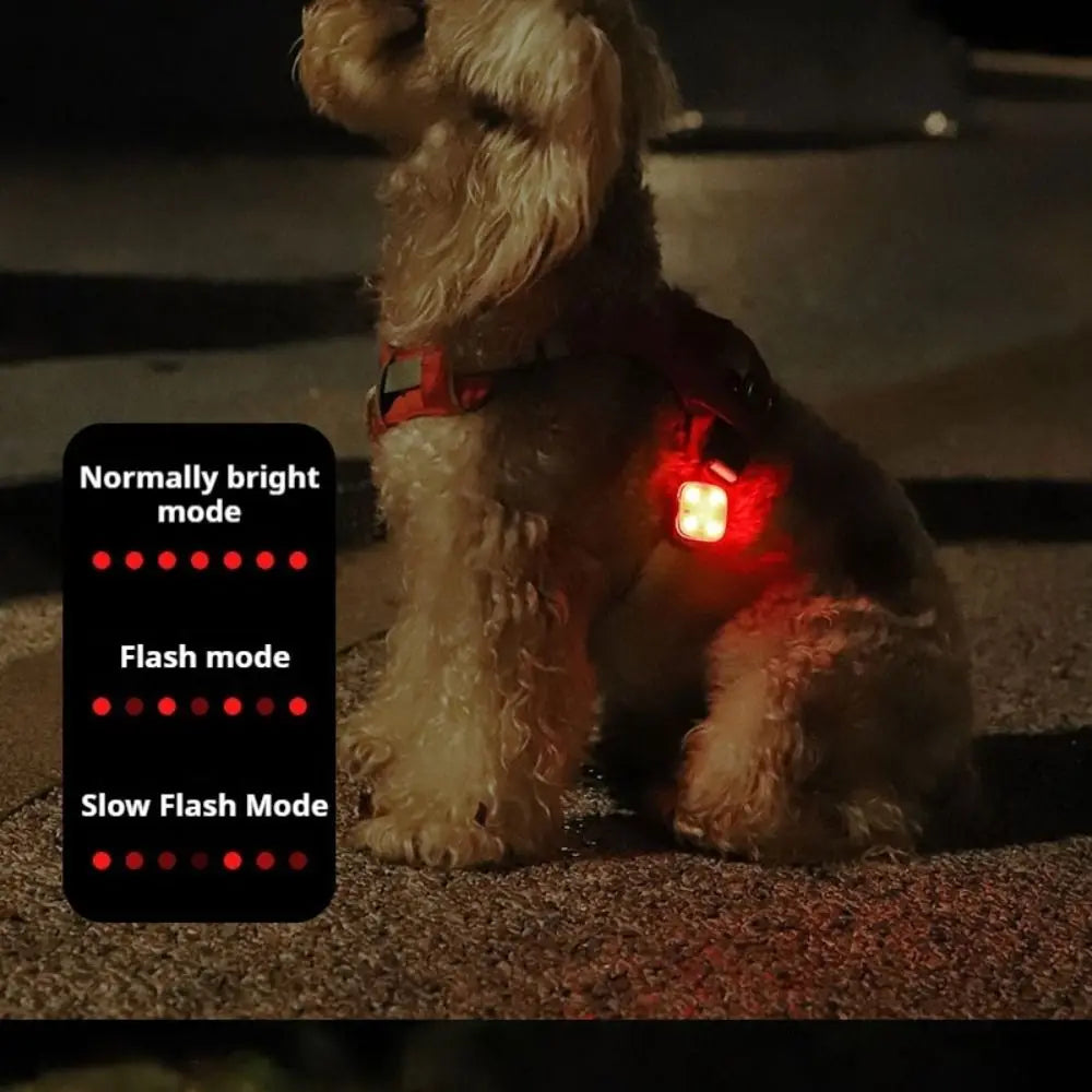 Colgante Luminoso Recargable USB para Mascotas, Linterna LED de 3 Modos, Collar para Mascotas, Luz LED de Seguridad para Perros, Colgante Luminoso para Actividades al Aire Libre