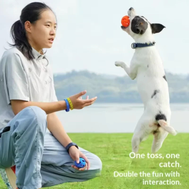 Nueva Pelota de Juguete Elástica y Resistente para Perros, Juguete Molar para Limpieza Dental, Pelota Interactiva para Perros Pequeños y Medianos