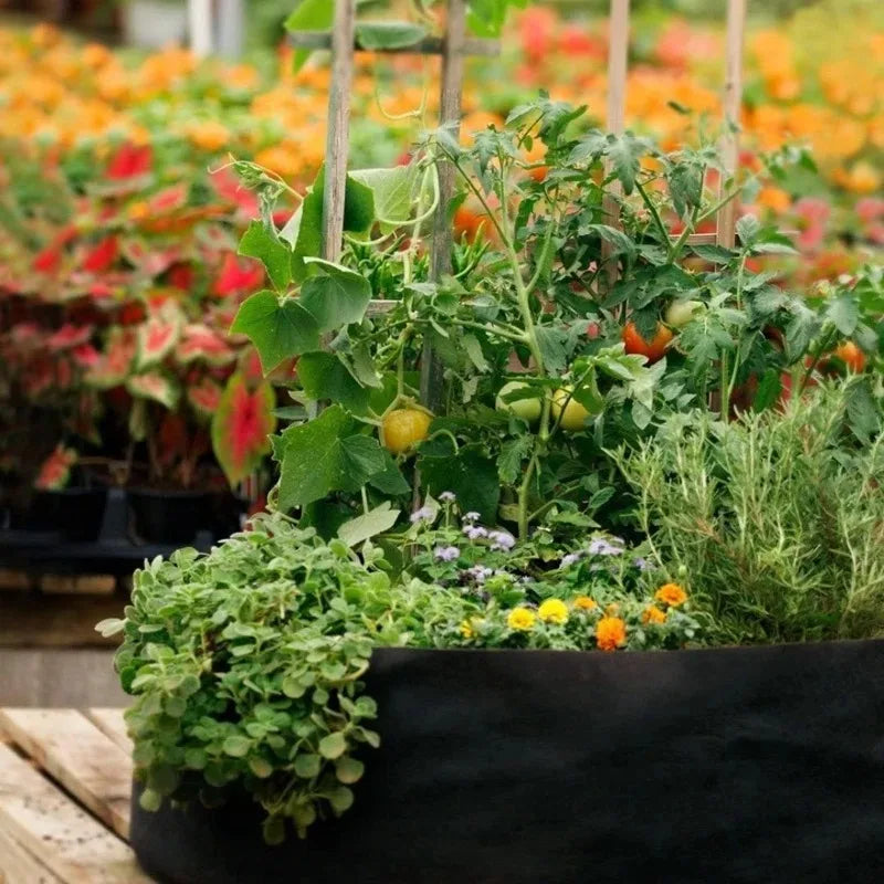 Paquete de 5 Bolsas de Cultivo de Tela + Alfombrillas Antihierbas y Etiquetas Gratis, Macetas de Tela No Tejida para Tomates, Fresas y Vegetales, Macetas de Poda Aérea Tamaños S/M/L/XL/2XL/3XL