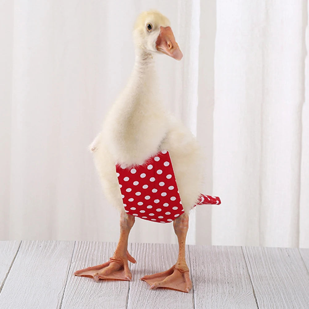 Pañal ajustable para granja de mascotas, de ganso, pato, pollo, aves de corral, Ganso, tela con lazo
