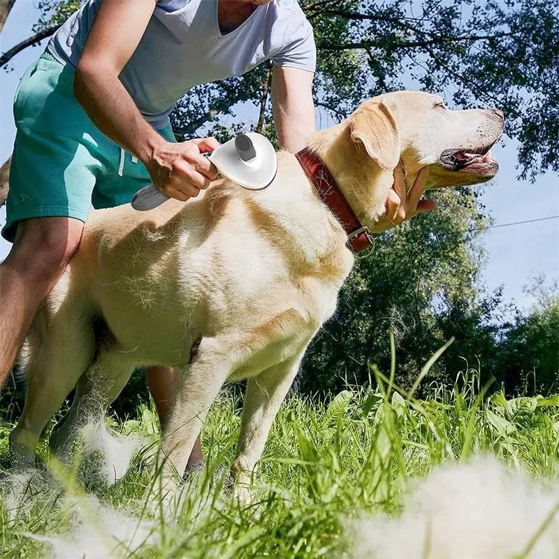 Cepillo para perros y gatos, peine de autolimpieza, removedor de pelo, herramientas de aseo, accesorios para mascotas
