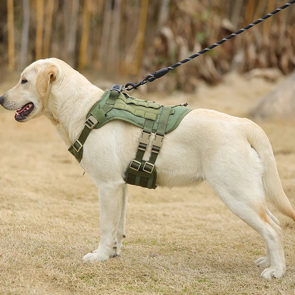 Arnés para perro con nombre personalizado, teléfono personalizado, arnés ajustable transpirable para mascotas, chaleco con correa para el pecho para perros medianos y grandes