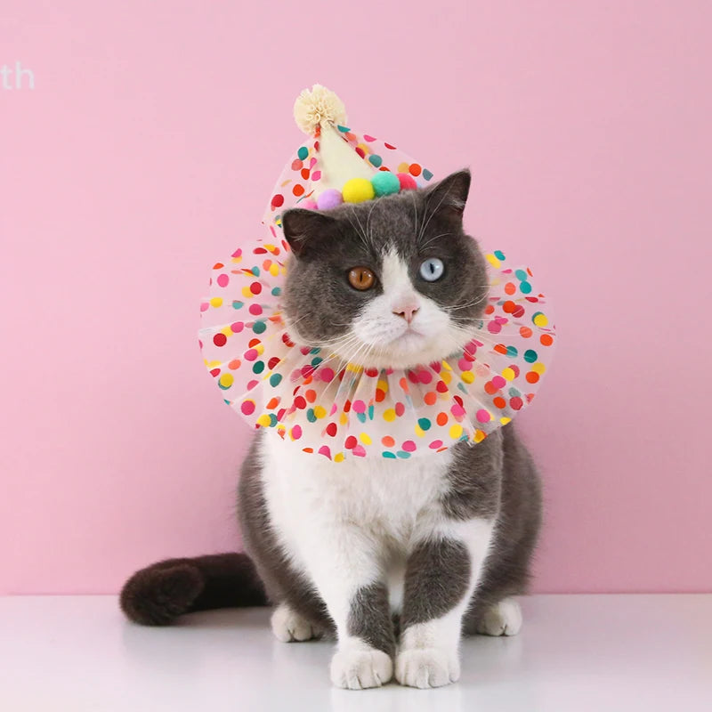 Sombrero de cumpleaños colorido para perros y gatos, bufanda ajustable para cumpleaños, conjunto de sombrero, babero para perros, vestido de fiesta de cumpleaños para mascotas, sombrero, accesorios para perros