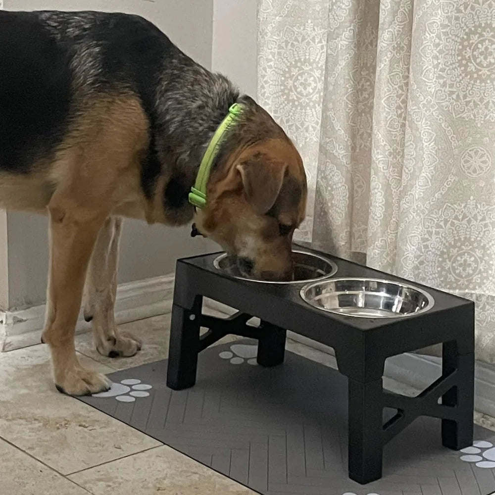 Comederos Elevados para Perros con Soporte Ajustable y Doble Tazón de Acero Inoxidable para Comida y Agua, para Perros Pequeños, Medianos y Grandes