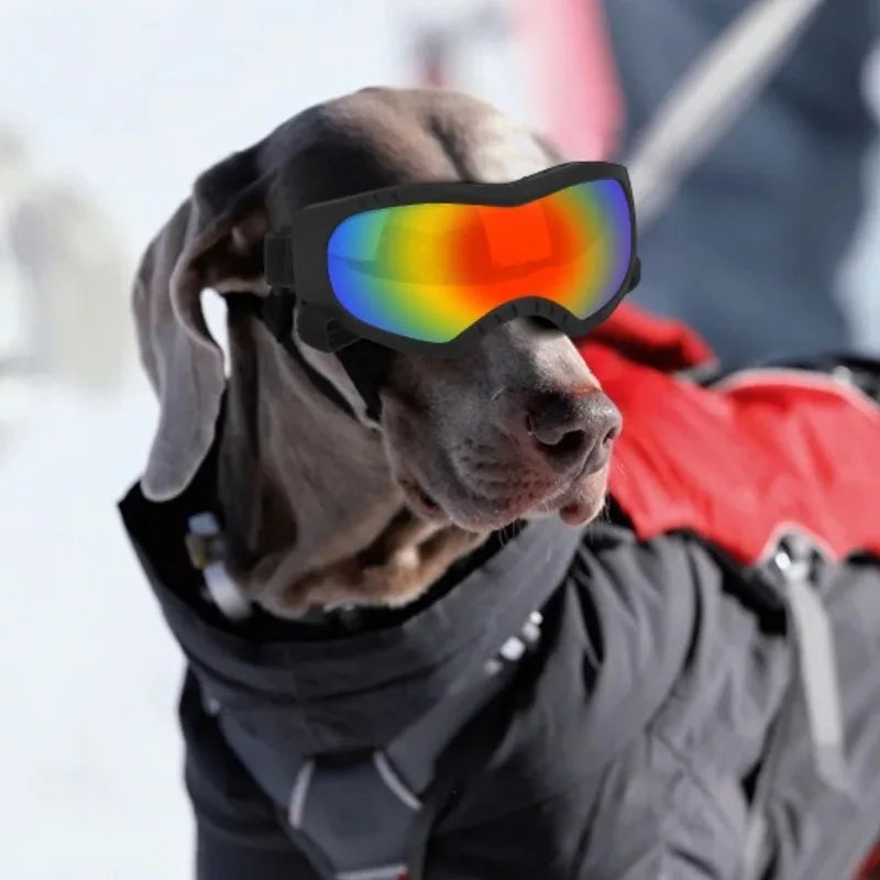 LETVIA Gafas para perros Gafas de sol con protección UV para mascotas para perros medianos Gafas específicas para mascotas al aire libre A prueba de viento A prueba de arena para senderismo