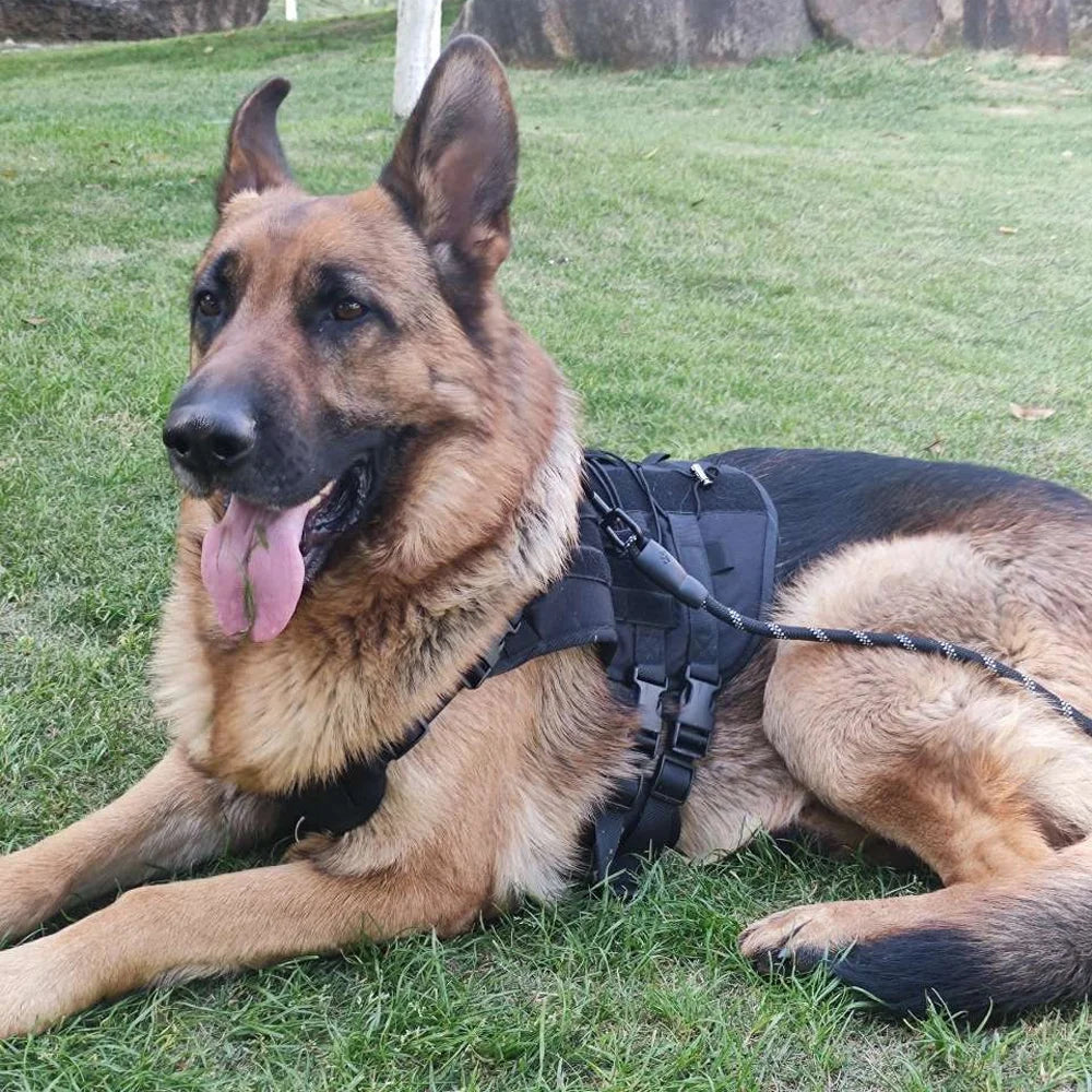 Arnés para perro con nombre personalizado, teléfono personalizado, arnés ajustable transpirable para mascotas, chaleco con correa para el pecho para perros medianos y grandes
