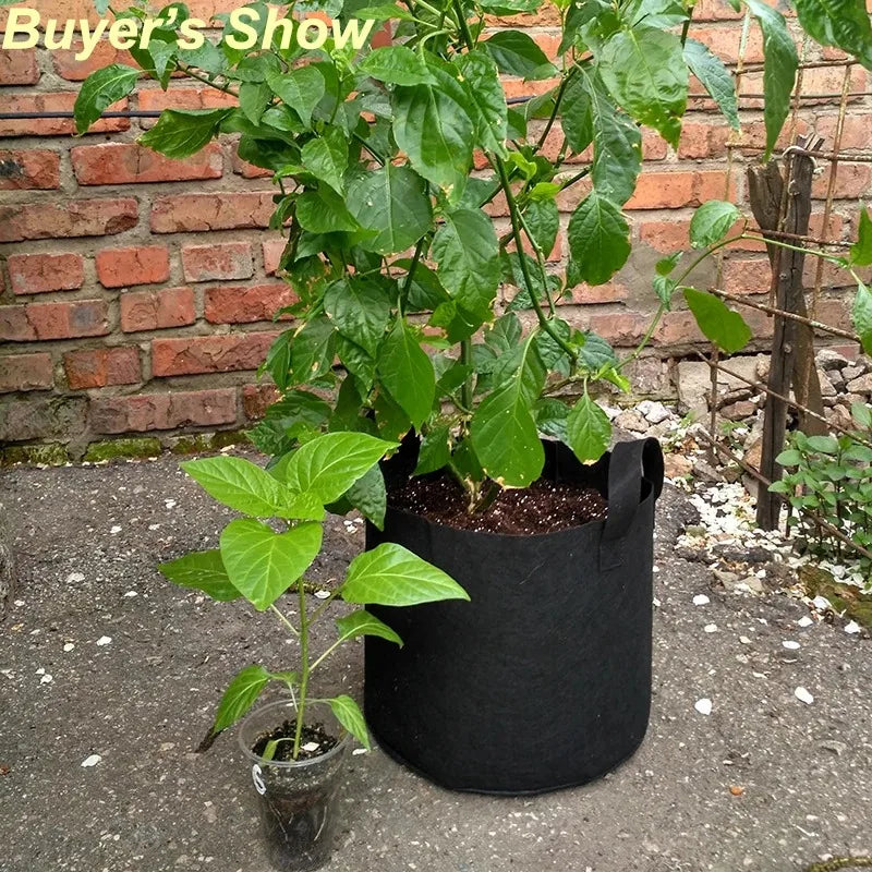 Paquete de 5 Bolsas de Cultivo de Tela + Alfombrillas Antihierbas y Etiquetas Gratis, Macetas de Tela No Tejida para Tomates, Fresas y Vegetales, Macetas de Poda Aérea Tamaños S/M/L/XL/2XL/3XL