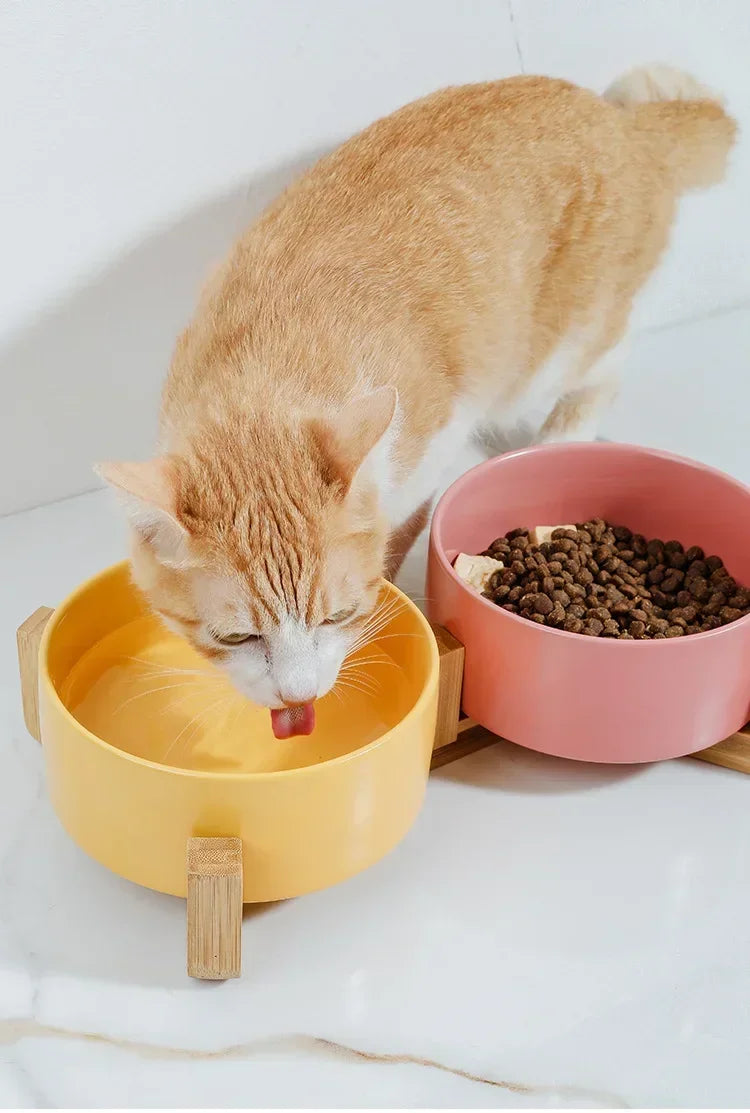 Cuenco doble de cerámica para gatos, cuenco para perros de 400ML, cuenco de agua para alimentación de mascotas, alimentador para cachorros y gatos, suministros de productos, cuencos de agua para alimentos