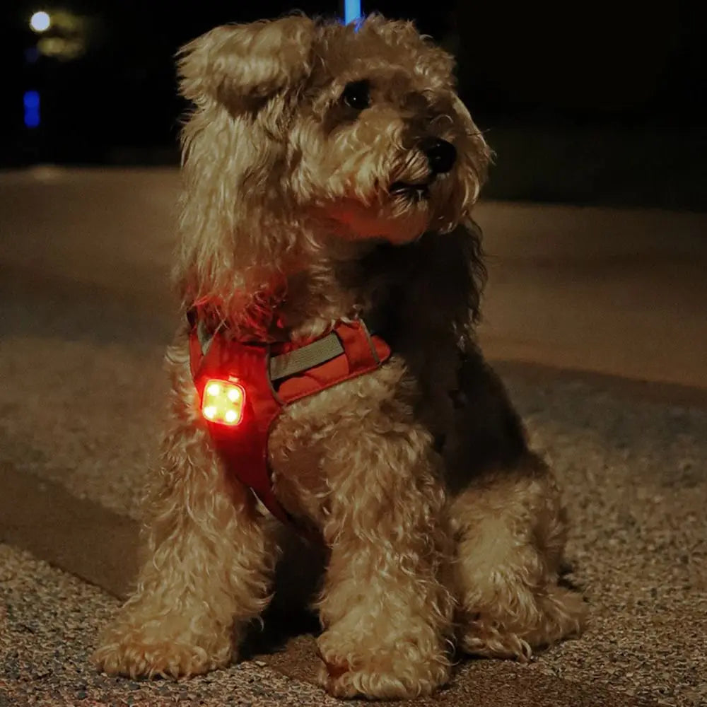 Colgante Luminoso Recargable USB para Mascotas, Linterna LED de 3 Modos, Collar para Mascotas, Luz LED de Seguridad para Perros, Colgante Luminoso para Actividades al Aire Libre