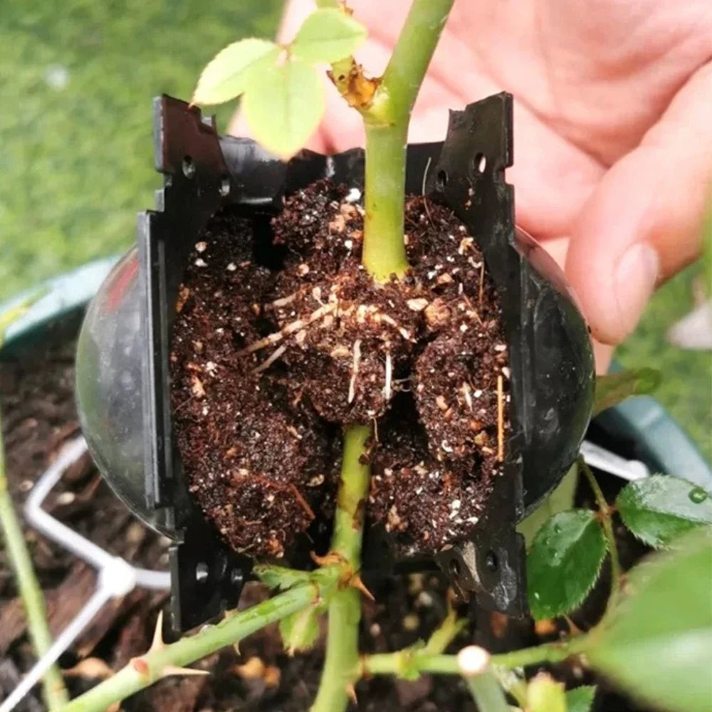 Bolas de capas de aire de 5/8/12cm, bola de enraizamiento de plantas, caja de cultivo de raíces de propagación de alta presión, caja de cría de injerto, maceta para vivero