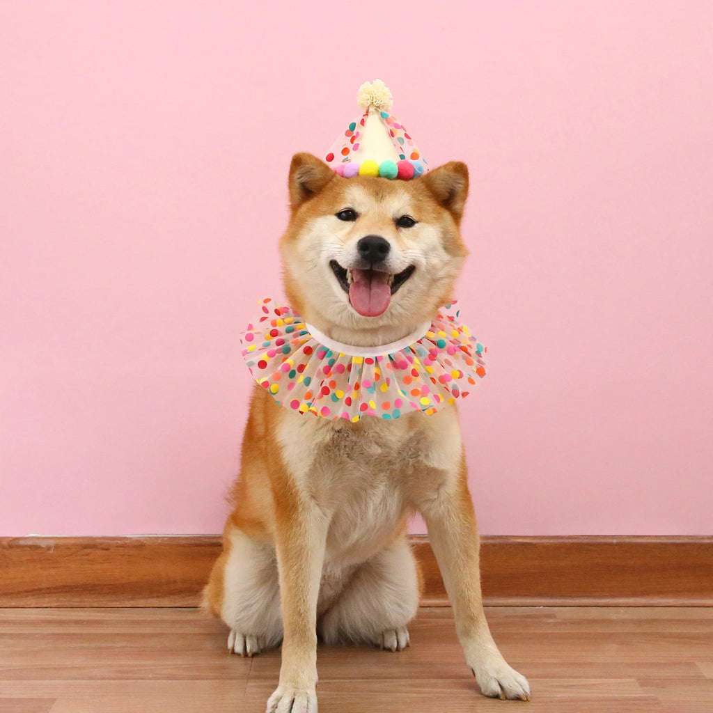 Sombrero de cumpleaños colorido para perros y gatos, bufanda ajustable para cumpleaños, conjunto de sombrero, babero para perros, vestido de fiesta de cumpleaños para mascotas, sombrero, accesorios para perros