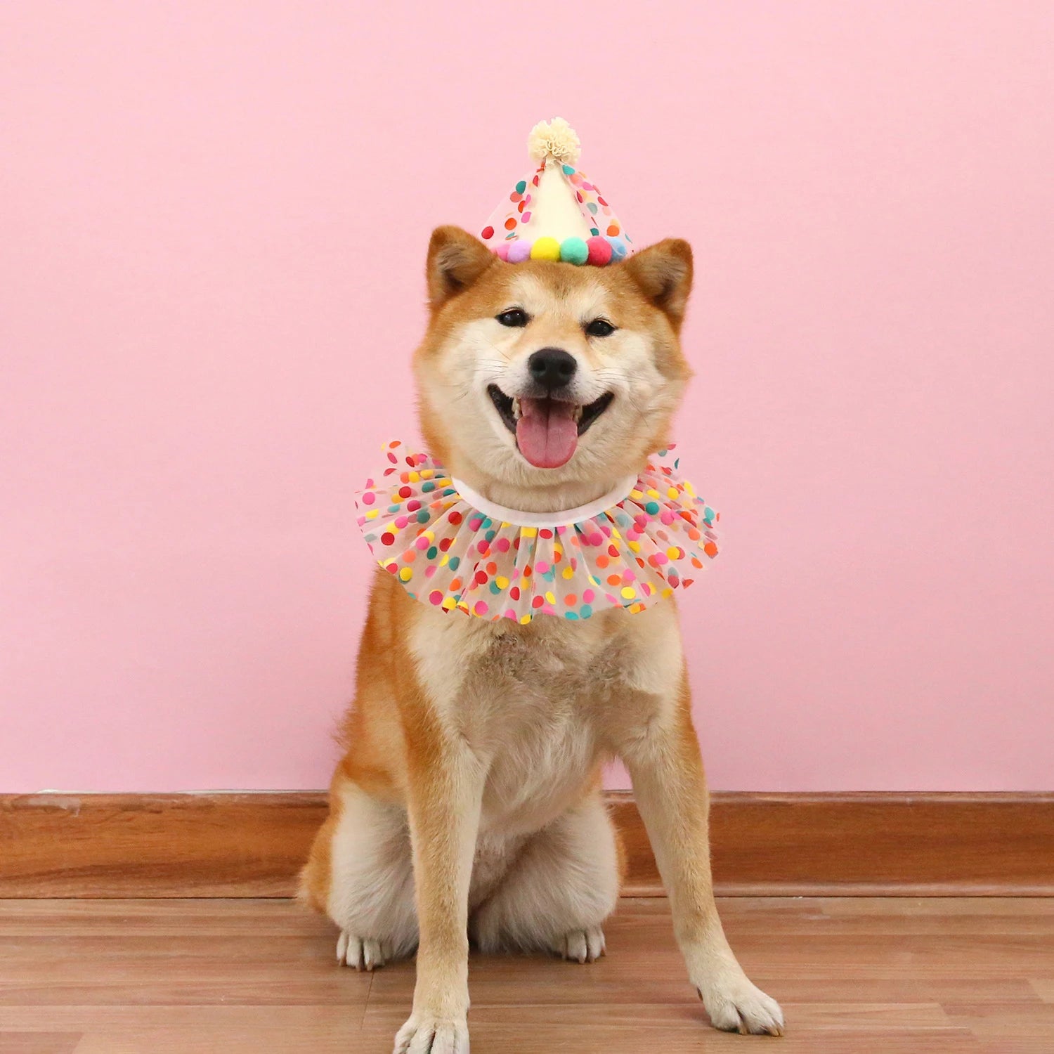 Sombrero de cumpleaños colorido para perros y gatos, bufanda ajustable para cumpleaños, conjunto de sombrero, babero para perros, vestido de fiesta de cumpleaños para mascotas, sombrero, accesorios para perros