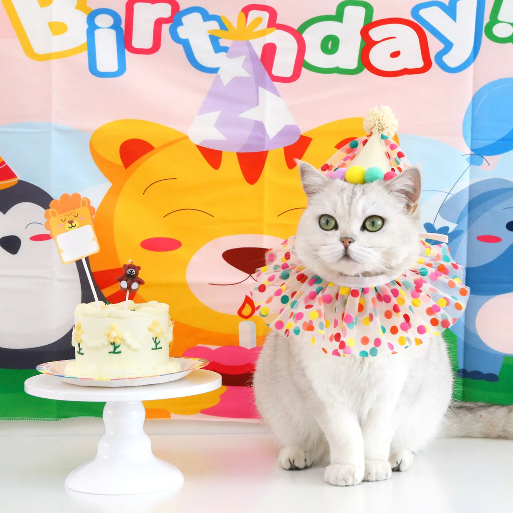 Sombrero de cumpleaños colorido para perros y gatos, bufanda ajustable para cumpleaños, conjunto de sombrero, babero para perros, vestido de fiesta de cumpleaños para mascotas, sombrero, accesorios para perros