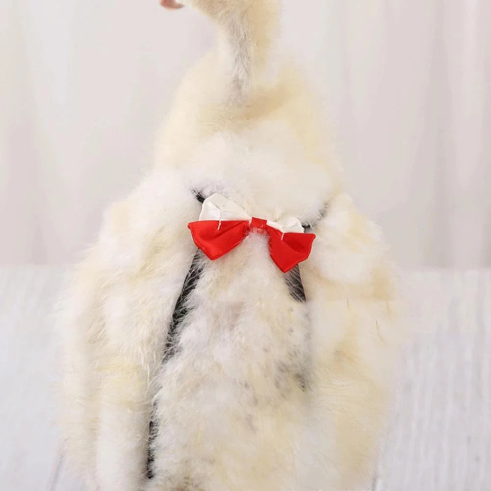 Pañal ajustable para granja de mascotas, de ganso, pato, pollo, aves de corral, Ganso, tela con lazo