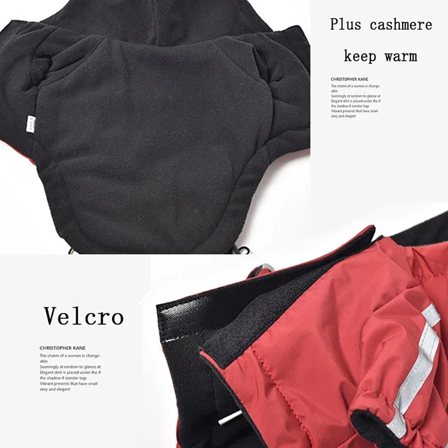 Ropa reflectante para mascotas, abrigo cálido impermeable para perros, chaqueta con capucha de algodón, cara de perro, ropa para perros pequeños, otoño e invierno
