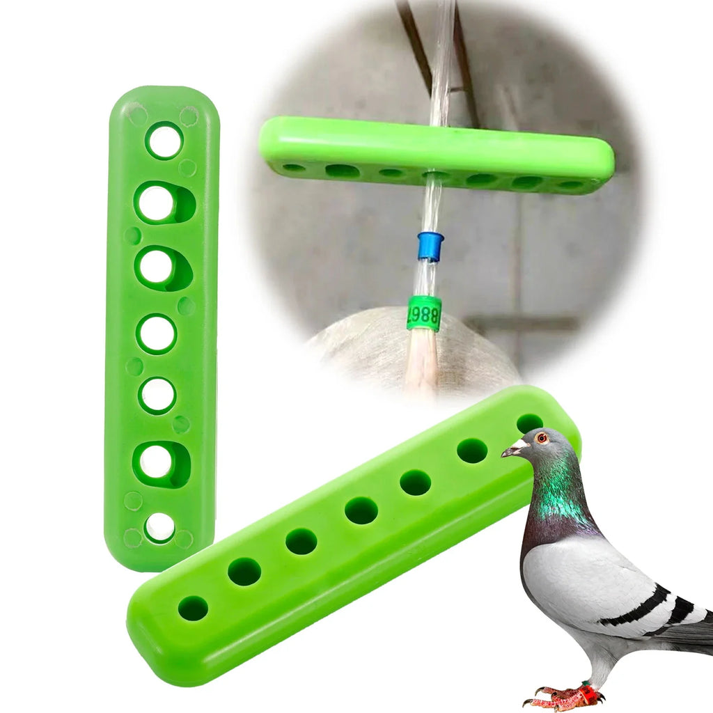 1 Juego de anillo para pie de Paloma, instalador para proteger palomas jóvenes, suministros de entrenamiento para loros, anillo para pie de Paloma de carreras