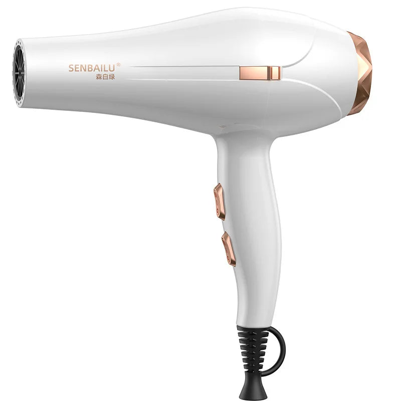 Secador de Pelo de Secado Rápido en 11 Segundos con Núcleo de Cobre Puro, Cuidado del Cabello con Iones Negativos y Luz Azul de Alta Velocidad, Secador de Pelo Profesional para el Hogar