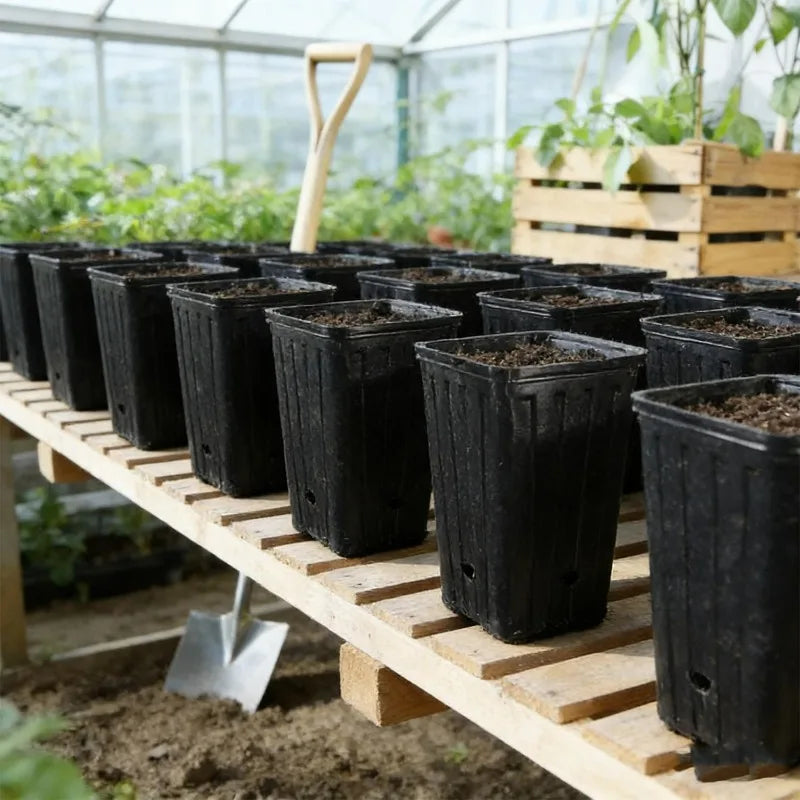 Macetas Altas y Profundas para Árboles, Contenedores para Plantas y Flores, Macetas de Inicio con Orificios de Drenaje, Vasos para Semilleros de Jardín y Exteriores