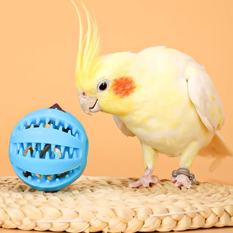 Juguetes para pájaros, Conures, juguetes alimentadores, periquitos, pie, Talon, pelota de forrajeo, cacatúa, masticar, sonajero de entrenamiento, bolas, jaula para loros