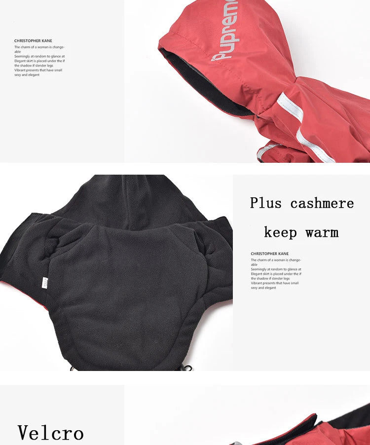 Ropa reflectante para mascotas, abrigo cálido impermeable para perros, chaqueta con capucha de algodón, cara de perro, ropa para perros pequeños, otoño e invierno