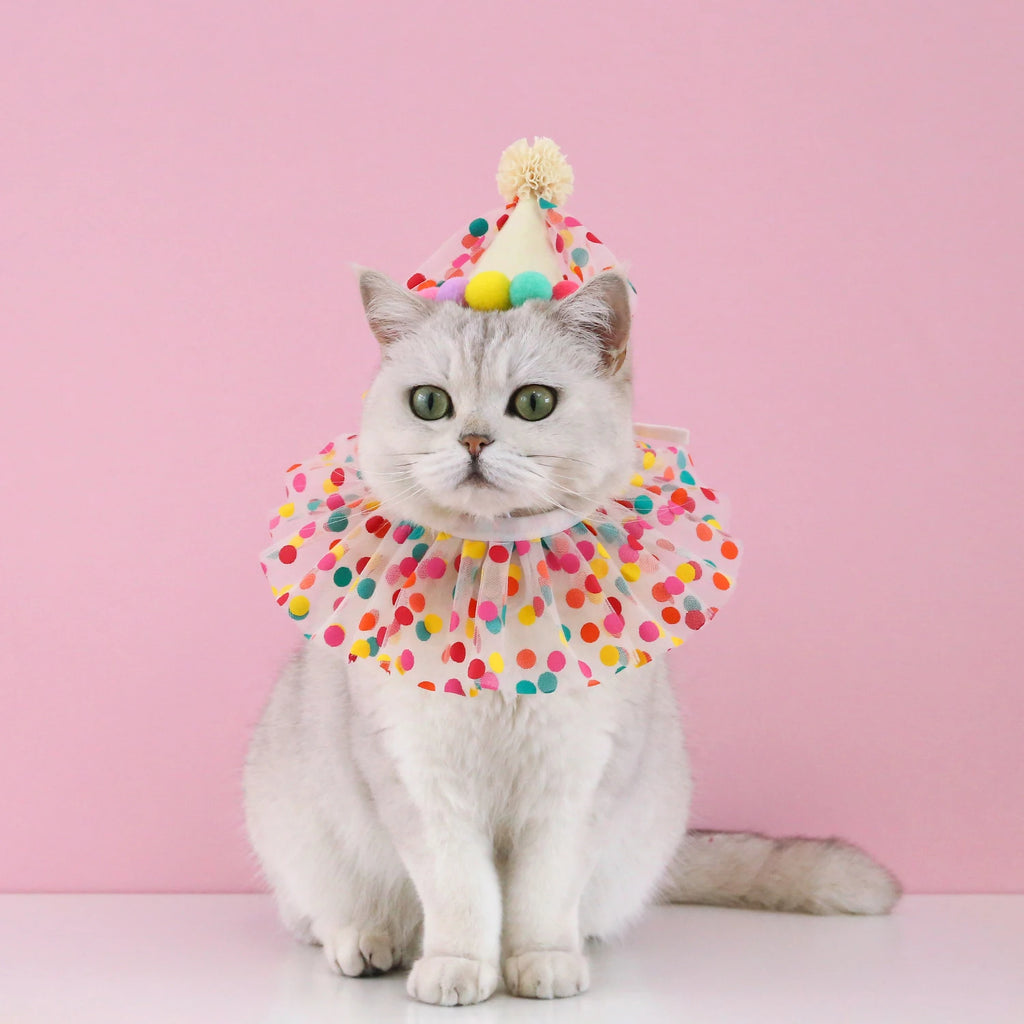 Sombrero de cumpleaños colorido para perros y gatos, bufanda ajustable para cumpleaños, conjunto de sombrero, babero para perros, vestido de fiesta de cumpleaños para mascotas, sombrero, accesorios para perros