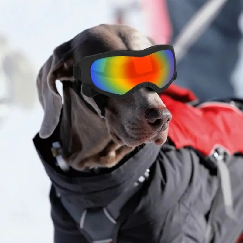 LETVIA Gafas para perros Gafas de sol con protección UV para mascotas para perros medianos Gafas específicas para mascotas al aire libre A prueba de viento A prueba de arena para senderismo