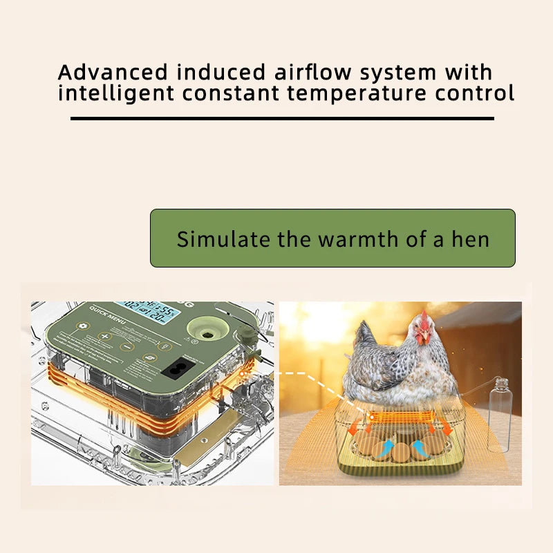 Nueva máquina incubadora de huevos de 12 polluelos, incubadora de huevos para huevos de codorniz, pollo de ganso, incubadora totalmente automática