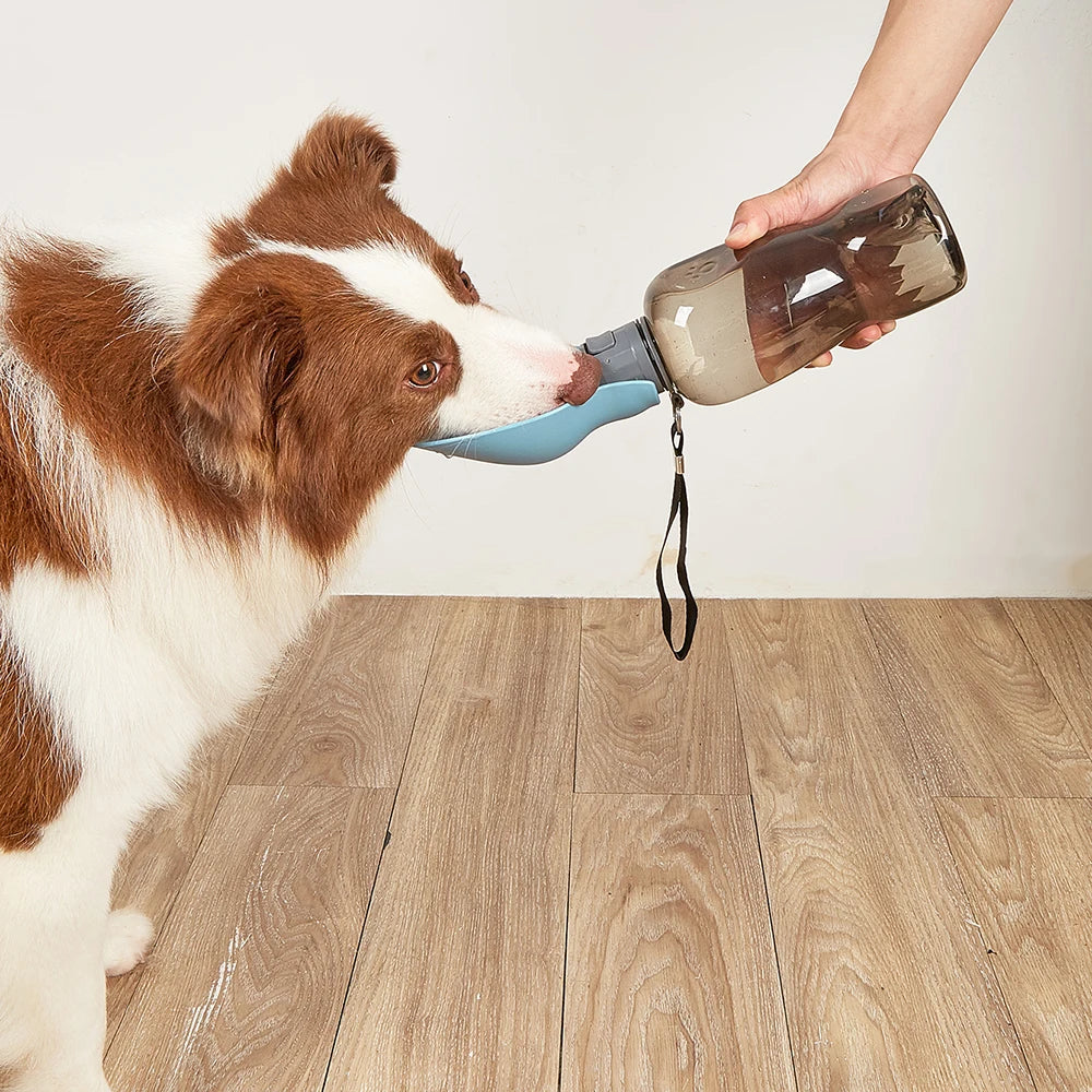 Botella de Agua Plegable para Mascotas, 800 ml, a Prueba de Fugas, Dispensador de Agua Portátil para Perros Pequeños, Gatos, Paseos al Aire Libre, Bebedero para Cachorros