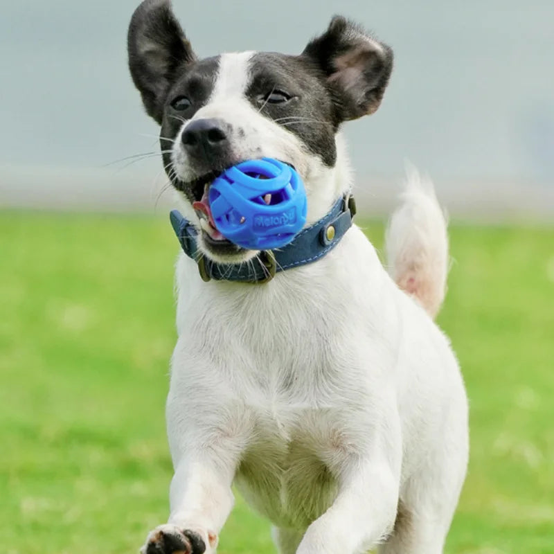 Nueva Pelota de Juguete Elástica y Resistente para Perros, Juguete Molar para Limpieza Dental, Pelota Interactiva para Perros Pequeños y Medianos