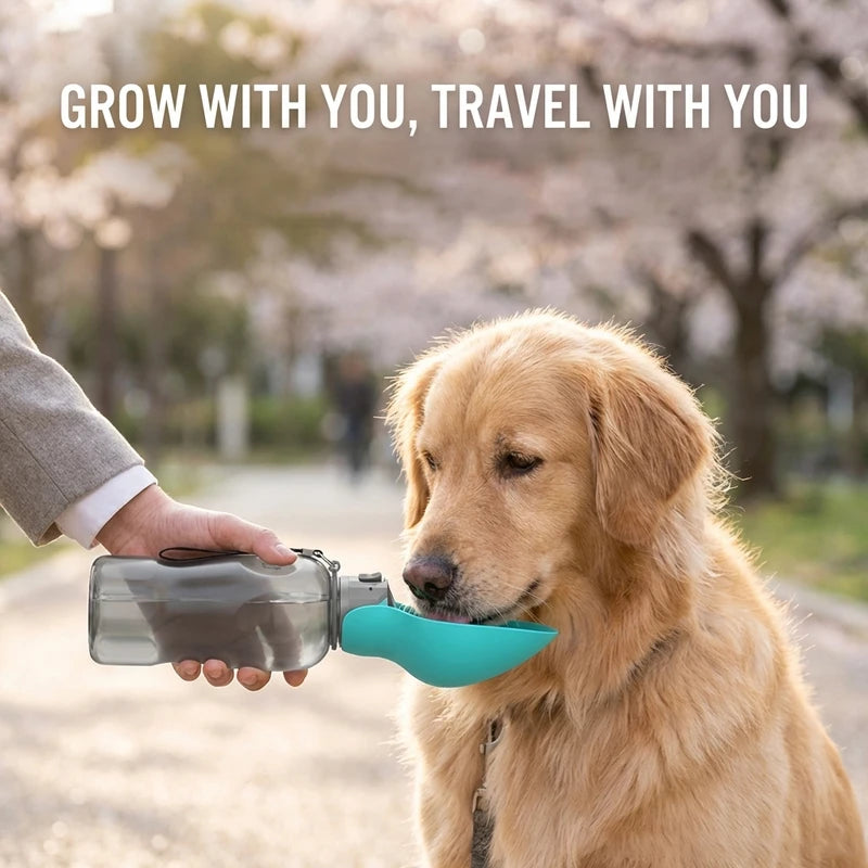 Botella de Agua Plegable para Mascotas, 800 ml, a Prueba de Fugas, Dispensador de Agua Portátil para Perros Pequeños, Gatos, Paseos al Aire Libre, Bebedero para Cachorros