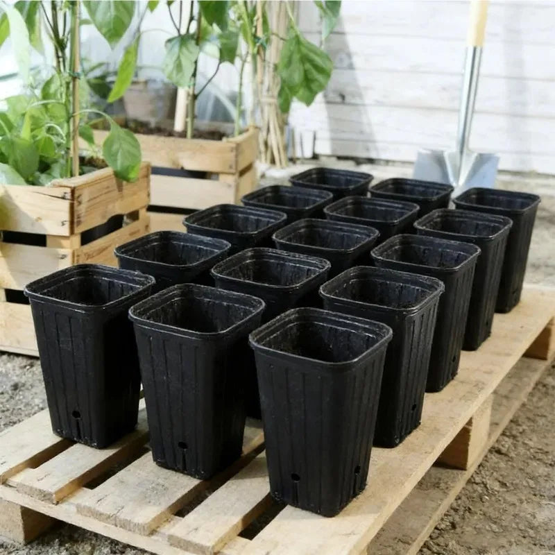 Macetas Altas y Profundas para Árboles, Contenedores para Plantas y Flores, Macetas de Inicio con Orificios de Drenaje, Vasos para Semilleros de Jardín y Exteriores