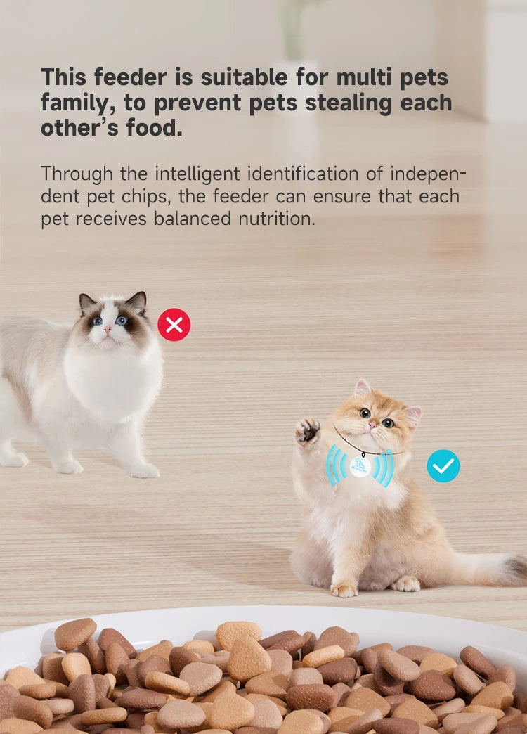 Alimentador automático para gatos, Sensor de reconocimiento de Chip antiarañazos, alimentador inteligente, registro de sonido, mantenimiento fresco, dispensador de alimentos para mascotas a prueba de polvo