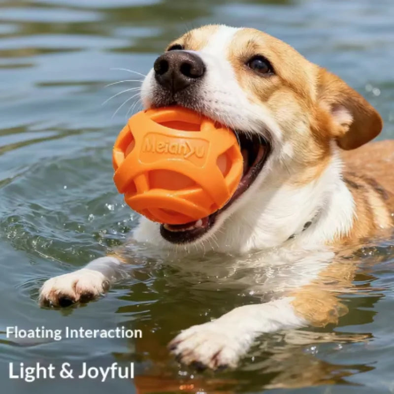 Nueva Pelota de Juguete Elástica y Resistente para Perros, Juguete Molar para Limpieza Dental, Pelota Interactiva para Perros Pequeños y Medianos