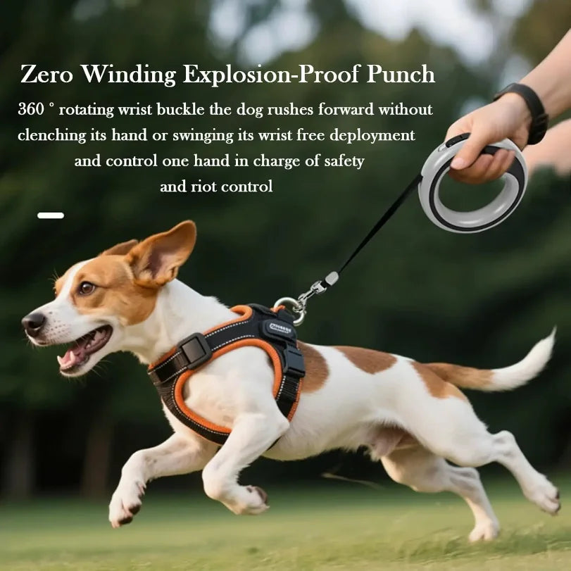Correa Retráctil para Perro, Resistente, Extensible, con Cinta de Nailon Fuerte, Freno de Una Mano, Diseño Antienredos para Perros Pequeños