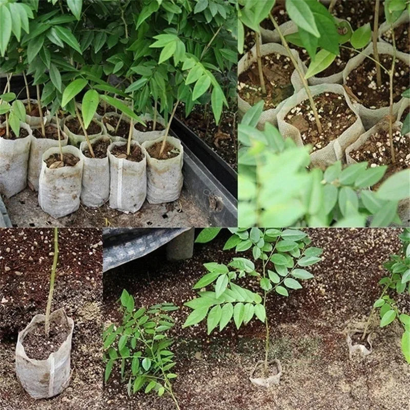 Bolsa de vivero biodegradable, bolsas de cultivo de plantas, semillas de tela no tejida para sembrar macetas para el hogar, accesorios de jardín, herramientas, 100-500 Uds.